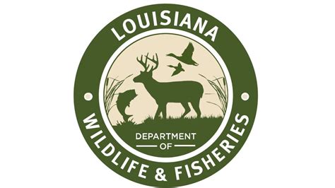 Louisiana dept of wildlife and fisheries - The Louisiana Department of Wildlife and Fisheries will offer new or renewal commercial fishing licenses and boat registration transactions at the following locations: Lake …
